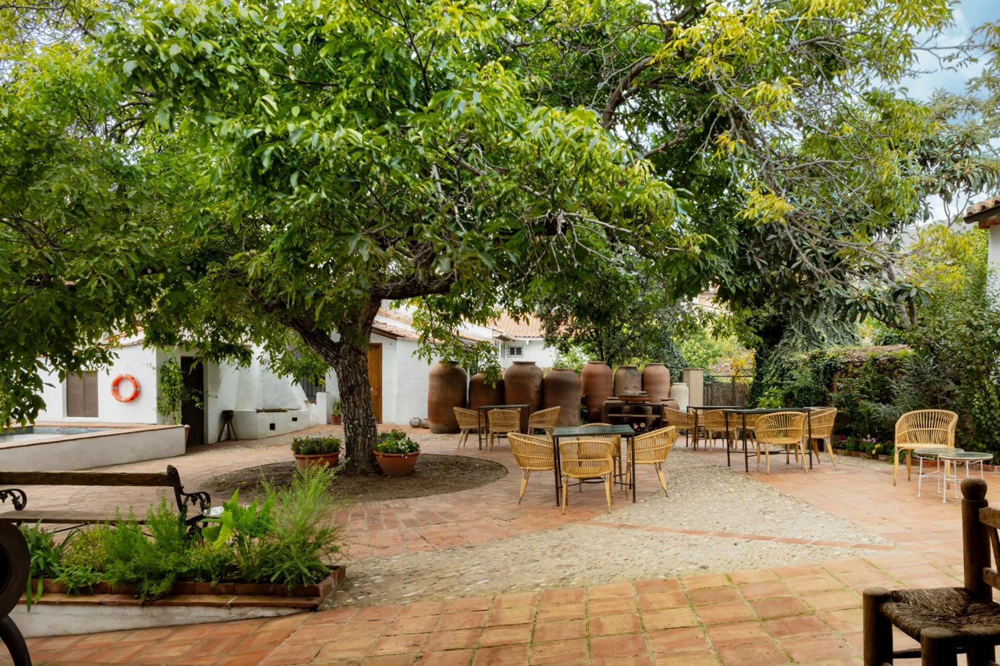 Apartamentos Turisticos El Patio Del Nogal グアダルペ エクステリア 写真