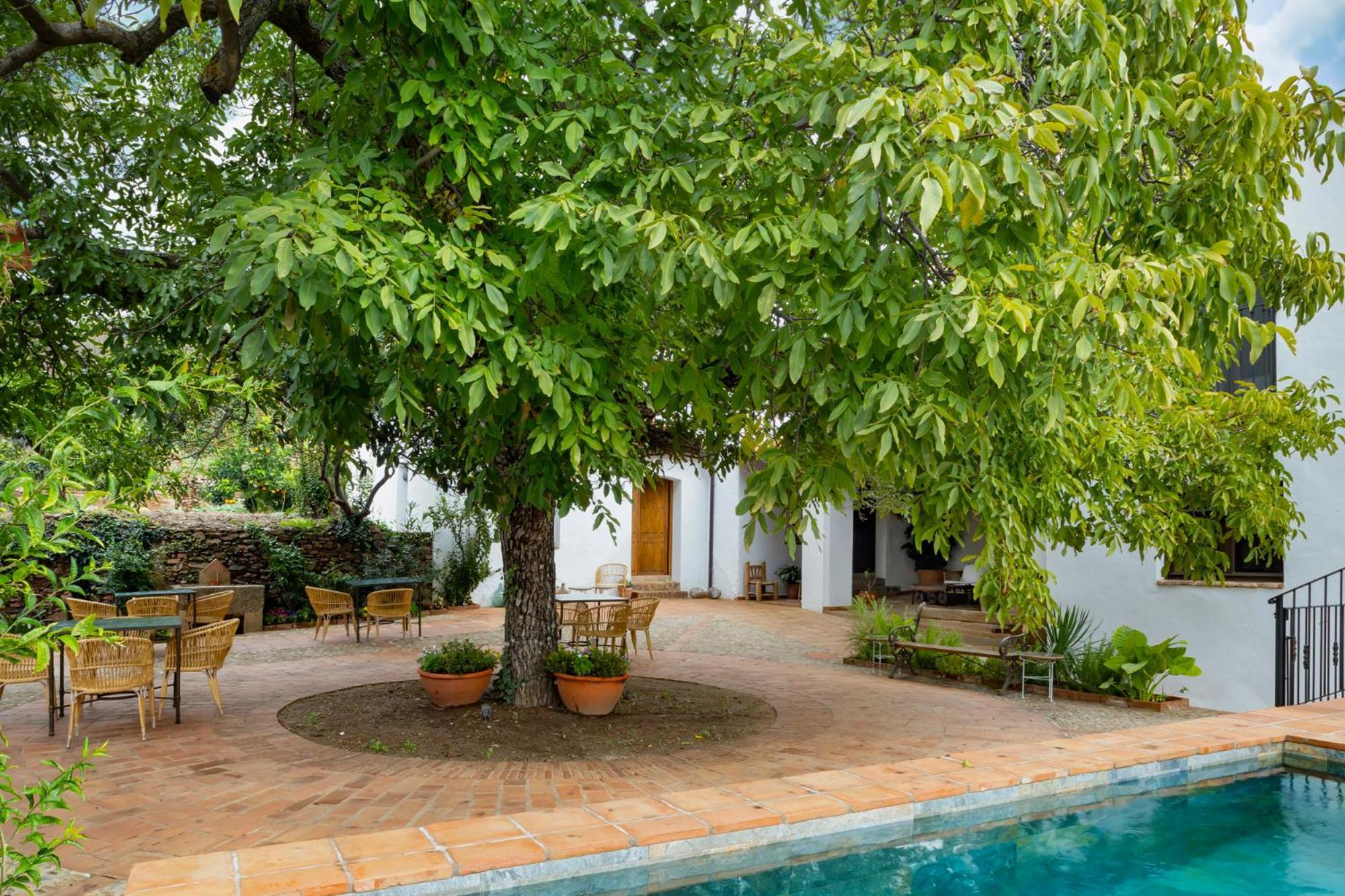 Apartamentos Turisticos El Patio Del Nogal グアダルペ エクステリア 写真
